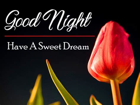 421 Beautiful Good Night Wishes Images Pics Wallpaper For Whatsapp