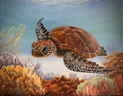 Friday With The Turtles — Artistry Beautiful Creatures Turtle My Arts