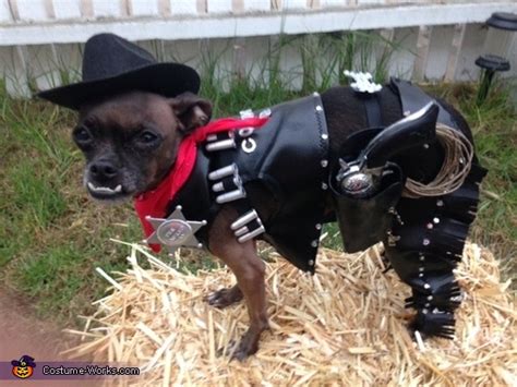 DIY Cowboy Dog Costume