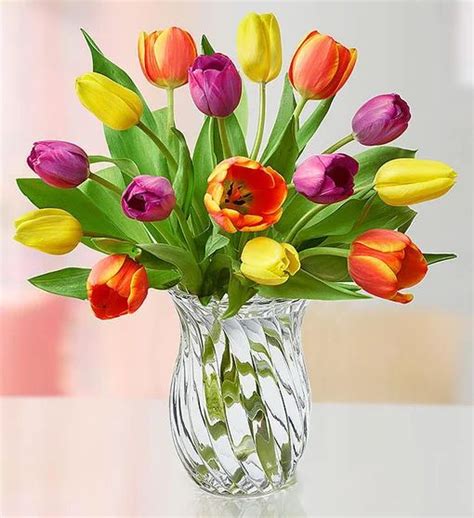 Send an adorable get well teddy bear, a congratulatory wine basket. Assorted Tulip Bouquet from 1-800-FLOWERS.COM in 2020 ...
