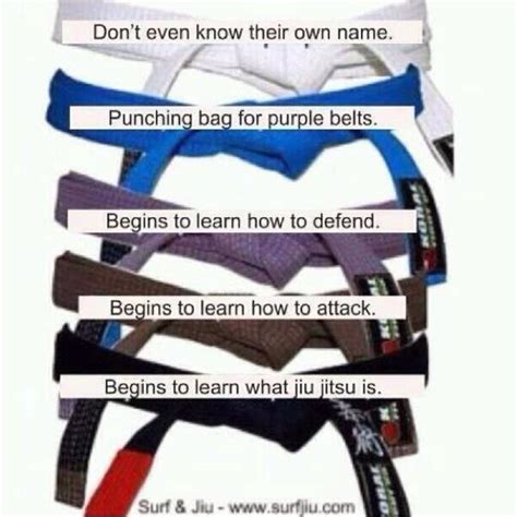 Brazilian Jujitsu Jiu Jitsu Jiu Jitsu Training Jiu Jitsu Belts