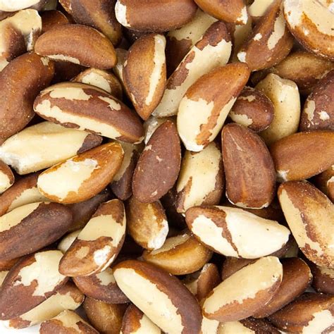 Raw Brazil Nuts Brazil Nuts Shelled Brazil Nuts 100 Natural Grade A