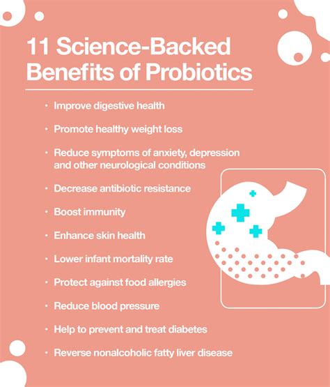 6 Common Questions About Probiotics Answered The Amino Company