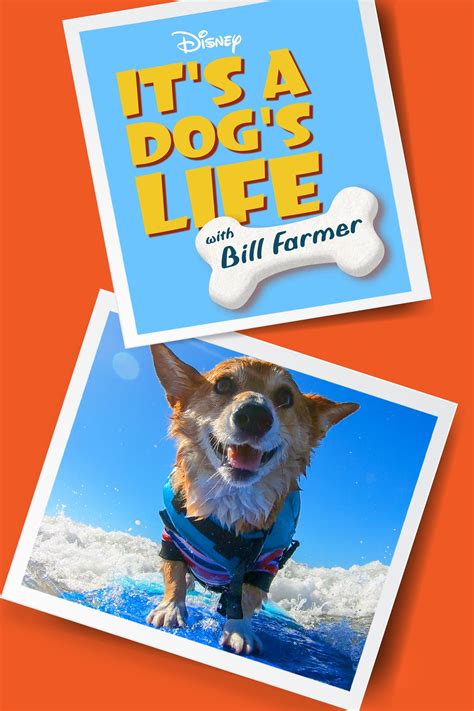 Its A Dogs Life Season 2 Release Date Time And Details Tonightstv