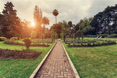 Nuwara Eliya Sri Lanka Queen Victoria Park At Sunset Stock Image