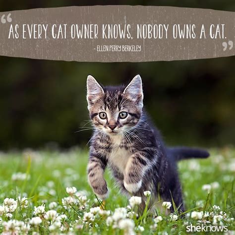 50 Cat Quotes That Only Feline Lovers Would Understand Cat Quotes