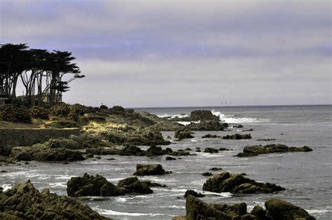 View Of Monterey Bay Free Stock Photo Public Domain Pictures