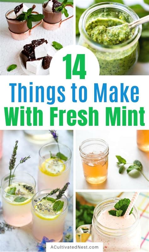 14 Things To Make Using Fresh Mint If You Have Extra Fresh Mint From