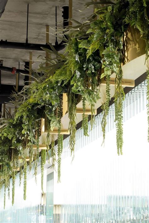 Eye hooks are best used for hanging outdoor plants that may be blown off regular hooks by winds. Plants hang from the ceiling #ceiling #hang #Plants ...