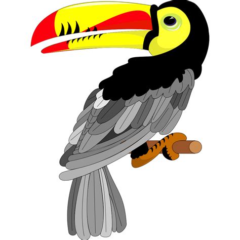 Toucan Png Svg Clip Art For Web Download Clip Art Png Icon Arts