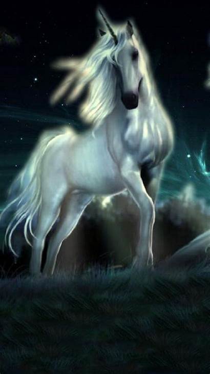 Unicorn Iphone Wallpapers Backgrounds Desktop Awesome Resolution