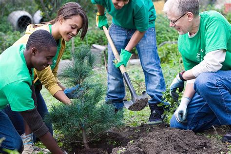 Measuring Equity With Urban Forests How Planting Trees Helps Build