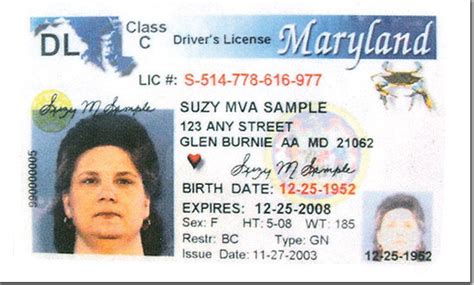 Legislature Extends Md Drivers Licenses For Immigrants Here Illegally