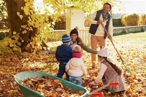 Children Helping Parents To Collect Autumn Leaves In Garden Stock