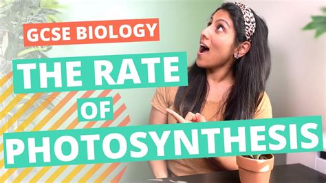 Factors Affecting The Rate Of Photosynthesis Gcse Igcse Biology Youtube