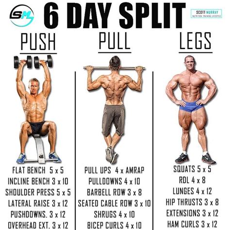 Push Pull Legs Split Day Weight Training Workout Schedule And Plan Gym Workouts Weight