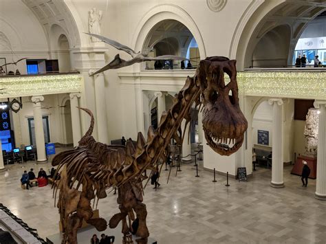 Maximo Looks So Cute From This Angle Titanosaur At The Chicago Field