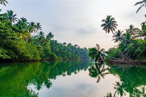 An Environmentally Friendly Guide To Keralas Backwaters