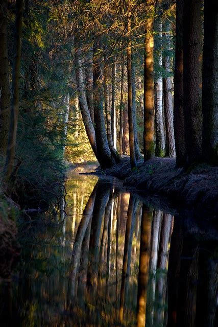 Black Forest Germany Photo On Sunsurfer