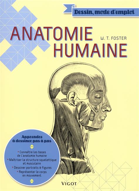Anatomie Humaine N E Distribution Prologue