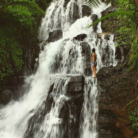 The Bali Bible Jembong Waterfall