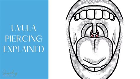 Uvula Piercing Your Ultimate Guide Jewelry Marquis
