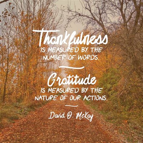 Thankfulness Is Measured By The Number Of Our Words Gratitude Is