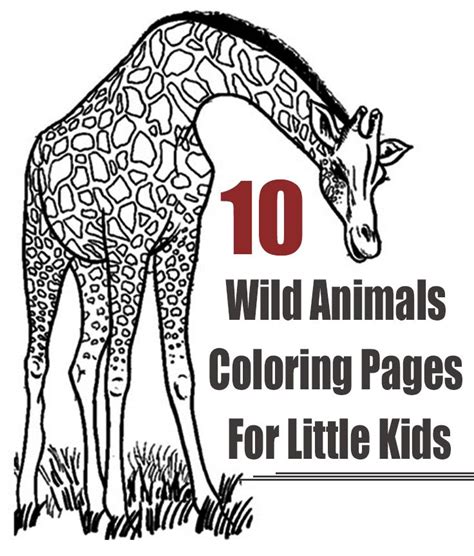 Wild animals are everywhere in the world. Top 25 Free Printable Wild Animals Coloring Pages Online | Animals wild, Animal coloring pages ...