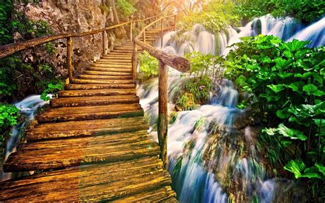 Bridge And Waterfall In Tropical Forest