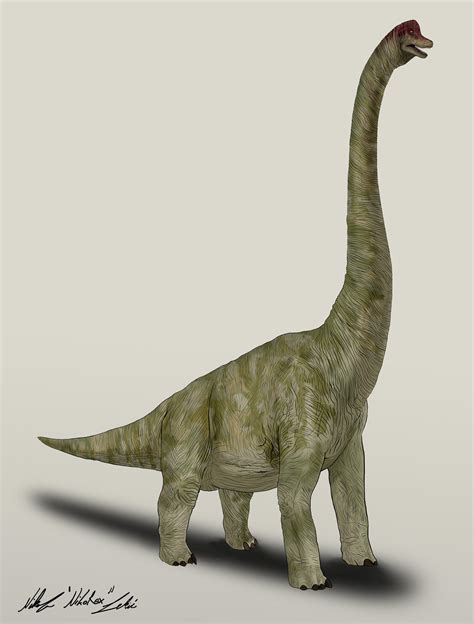 Jurassic Park Brachiosaurus By Nikorex On Deviantart