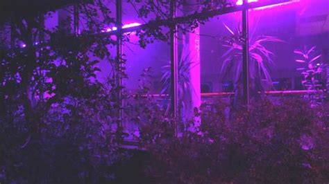 Midnight Purple Aesthetic Room Lights Hd Purple Aesthetic Wallpapers