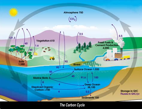 Graphs Diagrams of Global Warming and Climate