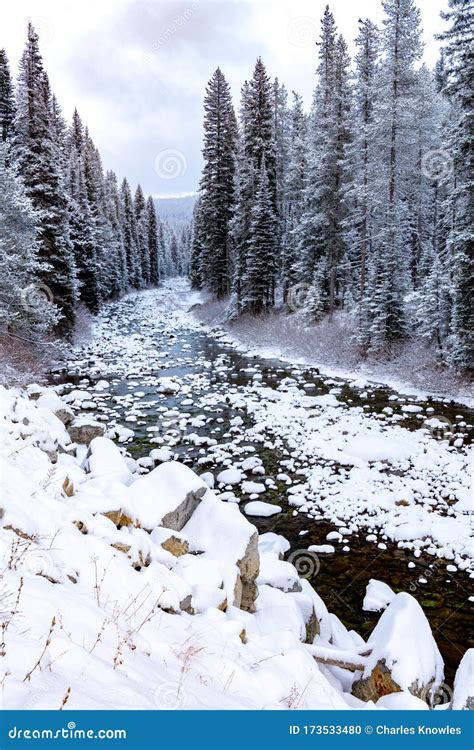 Idaho Wilderness River In Winter With Snow On The Ground Stock Photo