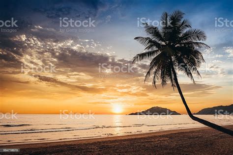 Sunset On Tropical Beach Stock Photo Download Image Now