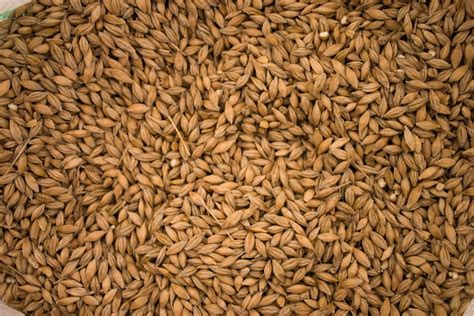 Grain Texture Homebrewing Australia