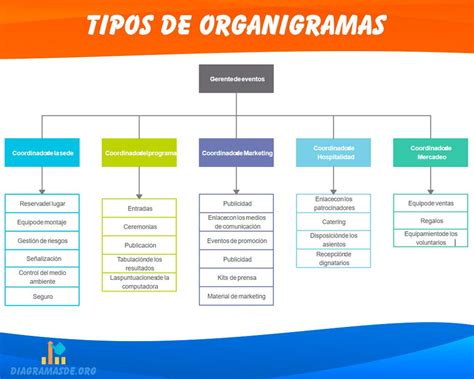 Tipos De Organigramas ️ De Empresa Y Otros Ejemplos