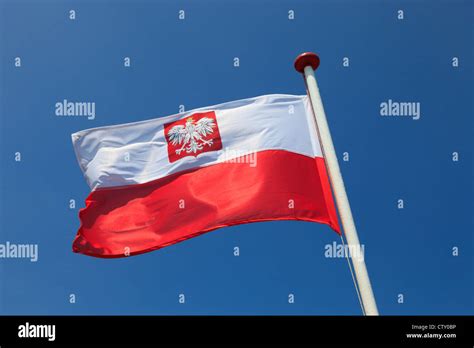 Emblem High Resolution Stock Photography And Images Alamy