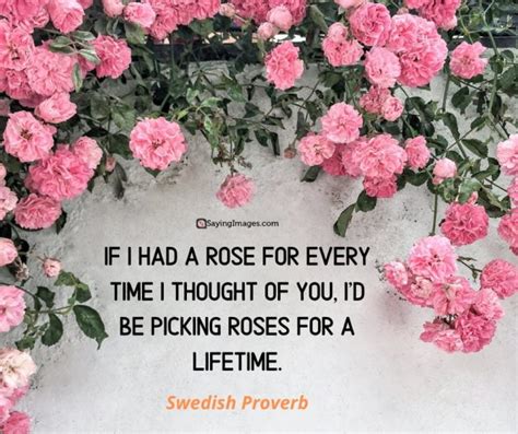 35 Amazing Roses Quotes That Celebrate Lifes Beauty