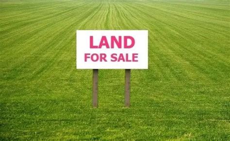 Guide To Buying Land 4 Things To Consider When Buying Land