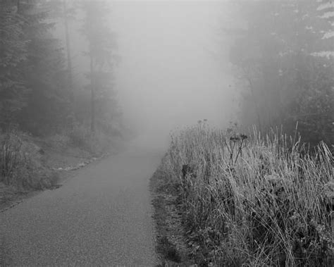 Black And White Foggy Morning Walk By Dan Sproul Foggy Morning Foggy