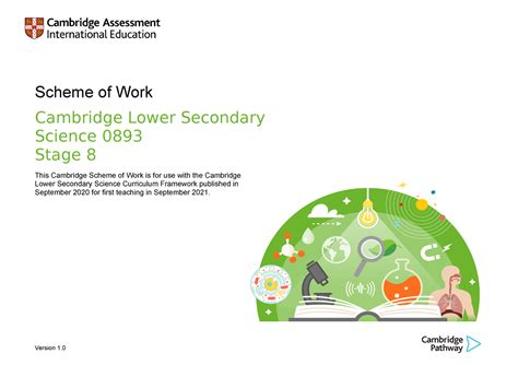 0893 Lower Secondary Science Stage 8 Scheme Of Work Tcm143 595696