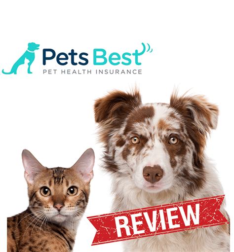 Check spelling or type a new query. Pet Insurance Reviews | Best & Worst of 2016