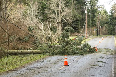 Fixing Surging Power Outages Caused By Fallen Treesbranches — Made