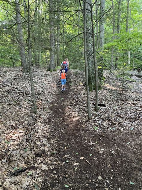 Hiking In Connecticut Paugussett State Forest Not Your Average Mom