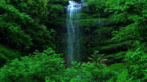 Download Green Forest Nature Waterfall 4k Ultra Hd Wallpaper