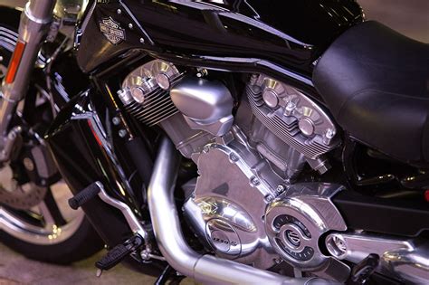 Harley Davidson V Rod Muscle 2016 2017 Specs Performance And Photos
