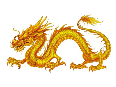 China Chinese Dragon Japanese Dragon Dragon Png Download 15751181 A1f