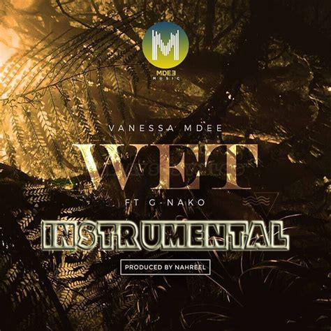 Instrumental Vanessa Mdee Ft G Nako Wet Downloadlisten Mp3