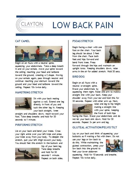 Low Back Pain Exercises Everyone Should Be Doing Clayton Chiropractic
