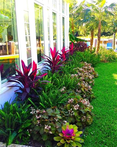Tropical Plants Full Sun Google Search Tropical Landscaping